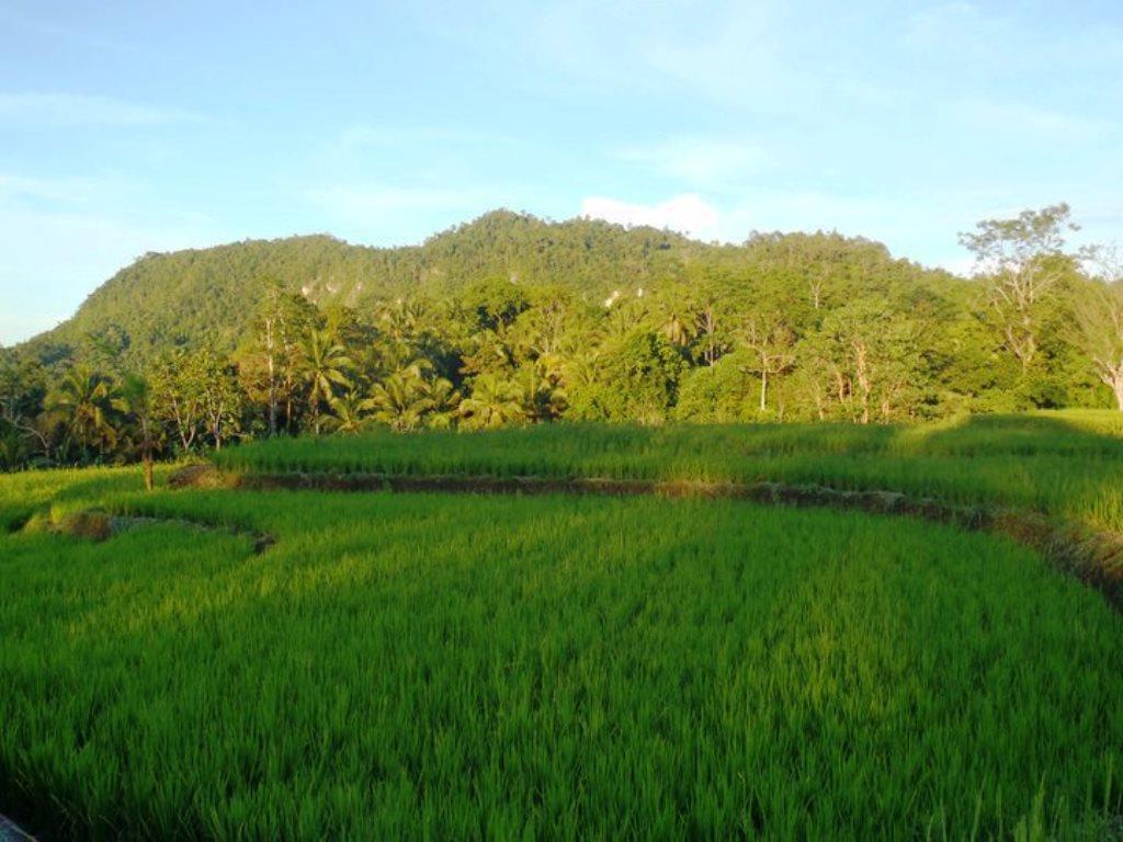 Bohol Paradise Hills Resort And Hotel Garcia Hernandez Zewnętrze zdjęcie